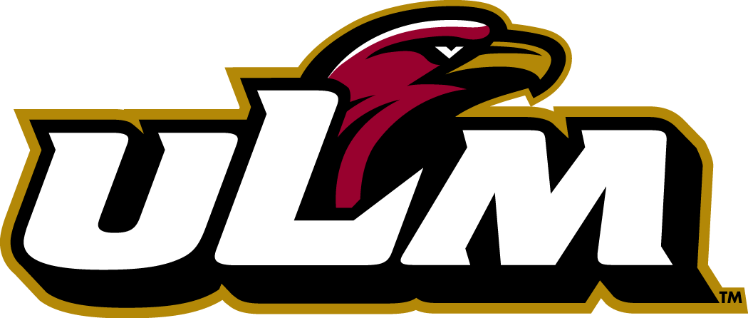 Louisiana-Monroe Warhawks 2006-Pres Primary Logo diy DTF decal sticker